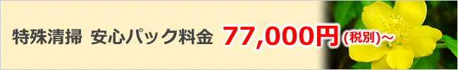 特殊清掃安心パック77000円